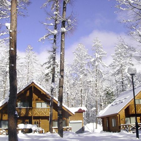 Log Cottage Epoch Hakuba Bagian luar foto