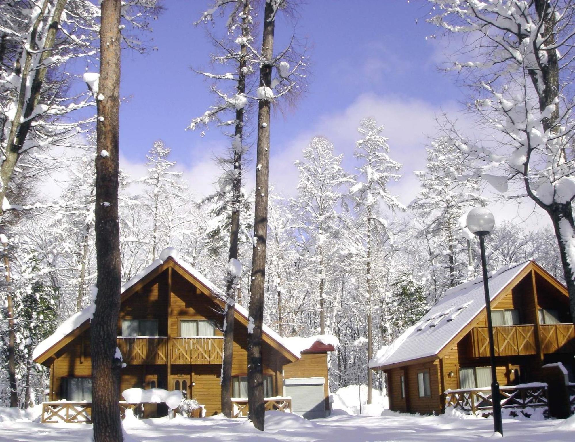 Log Cottage Epoch Hakuba Bagian luar foto